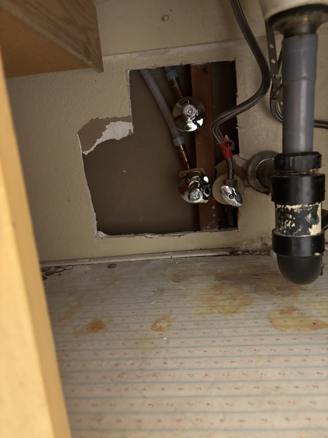 Impossible Plumbing Rooter project photo