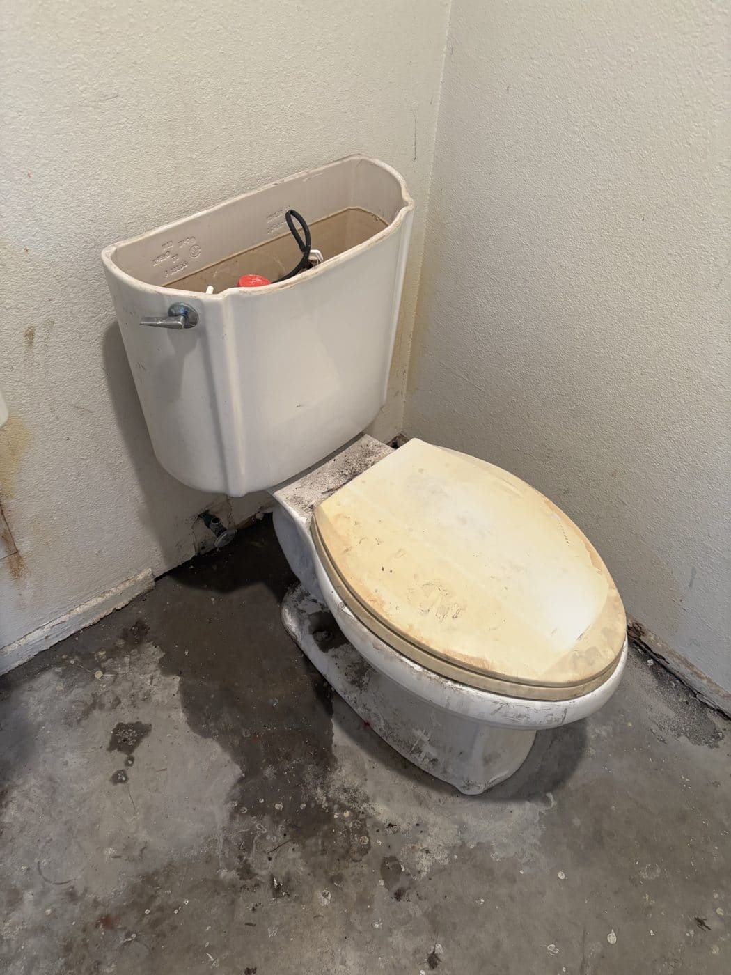 Impossible Plumbing Rooter project photo