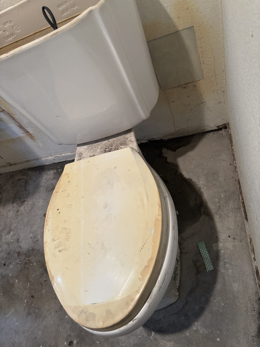 Impossible Plumbing Rooter project photo