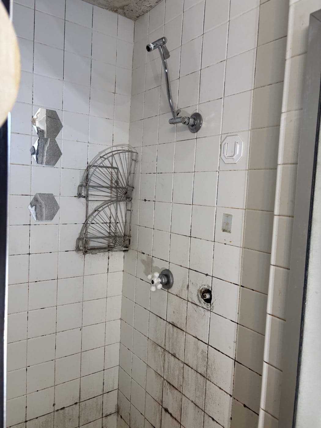 Impossible Plumbing Rooter project photo